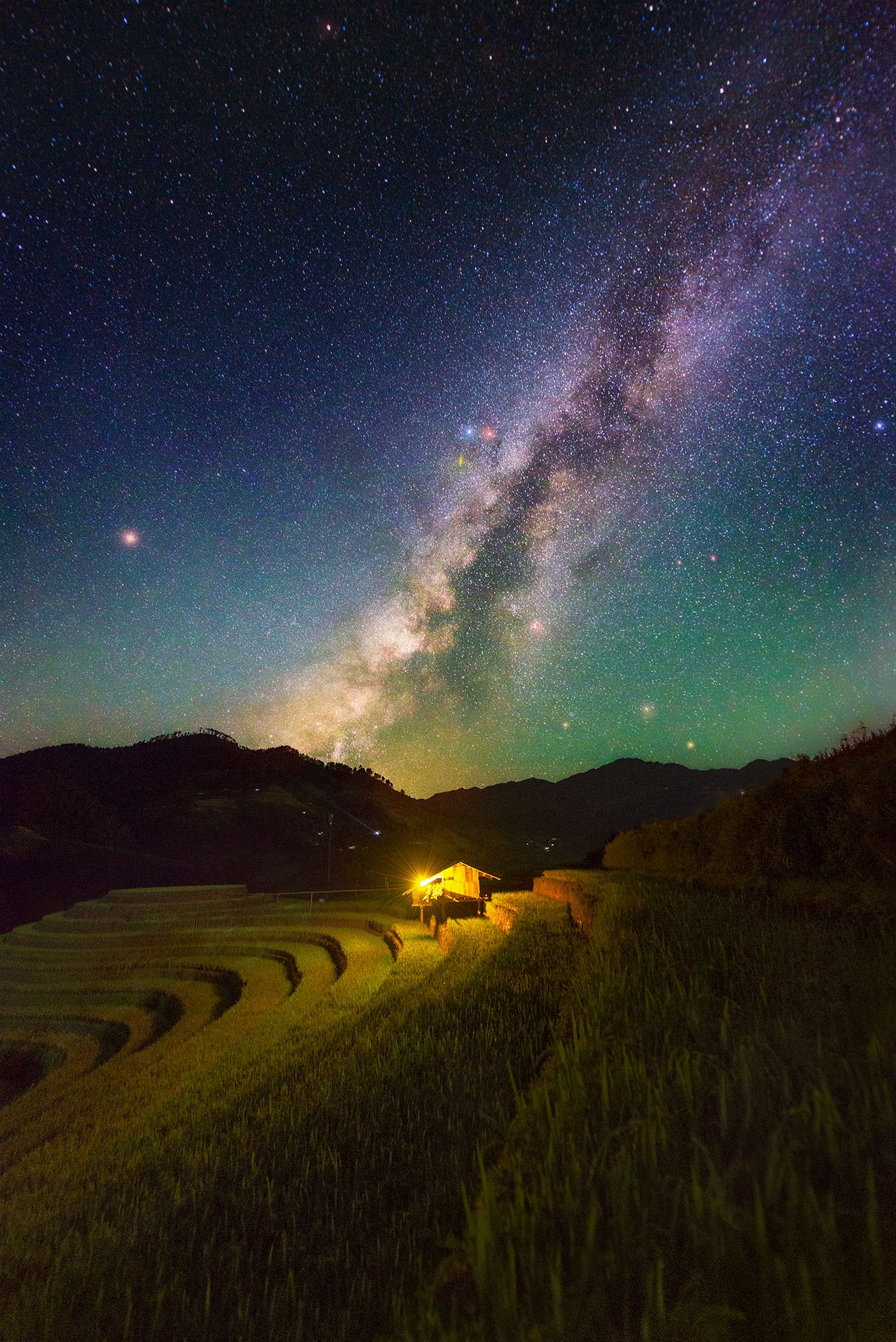 Mù Cang Chải mùa lúa chín ảnh 12 Mu Cang Chai mua lua chin anh 12