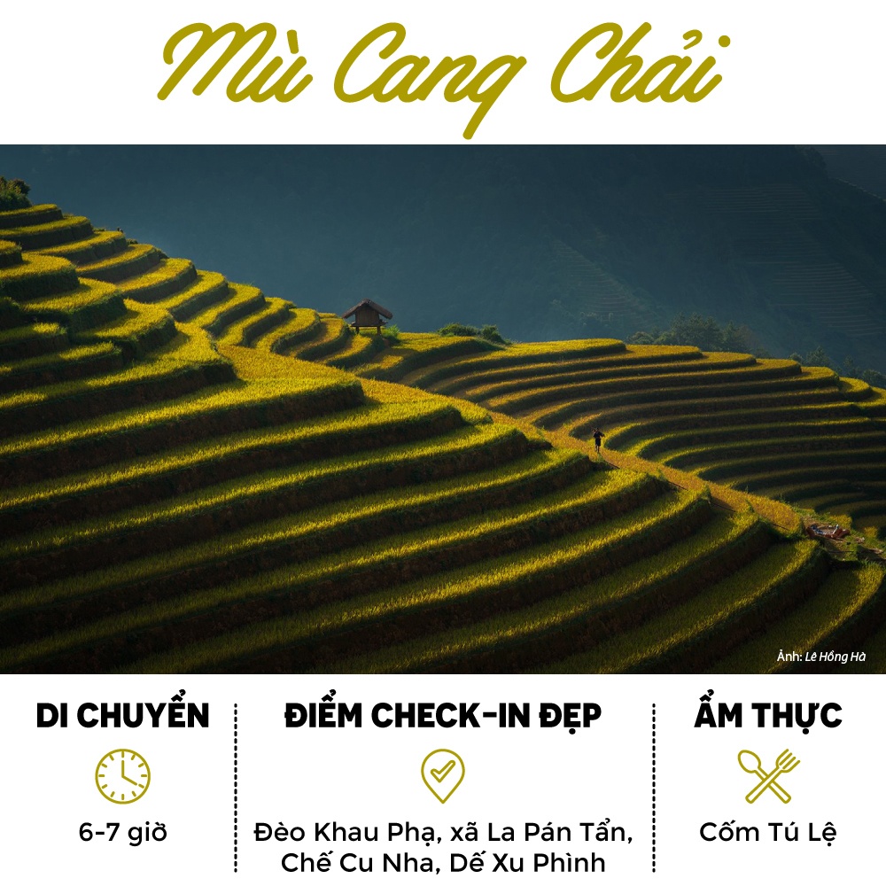Tây Bắc mùa lúa chín ảnh 1 Tay Bac mua lua chin anh 1