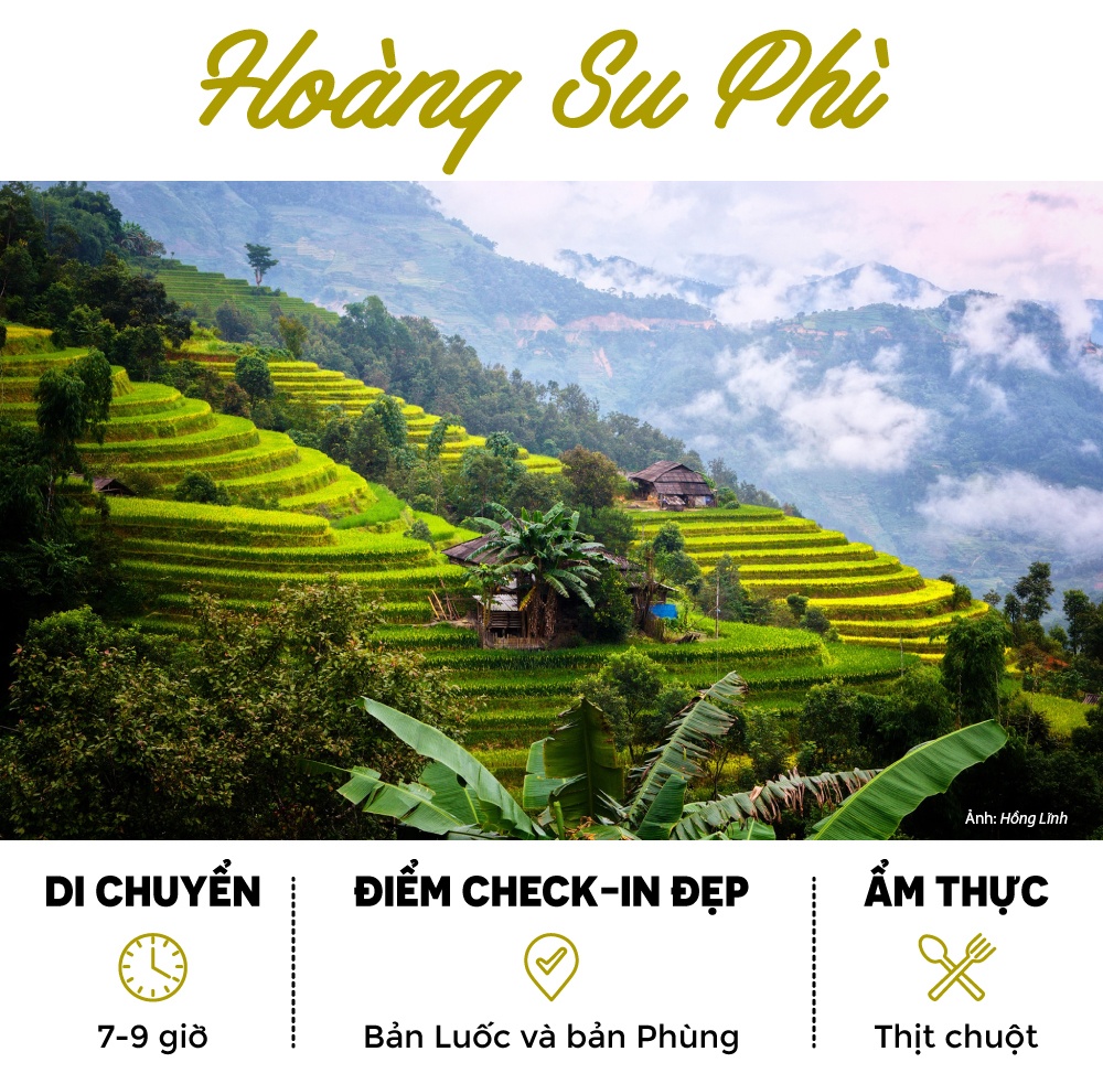 Tây Bắc mùa lúa chín ảnh 9 Tay Bac mua lua chin anh 9