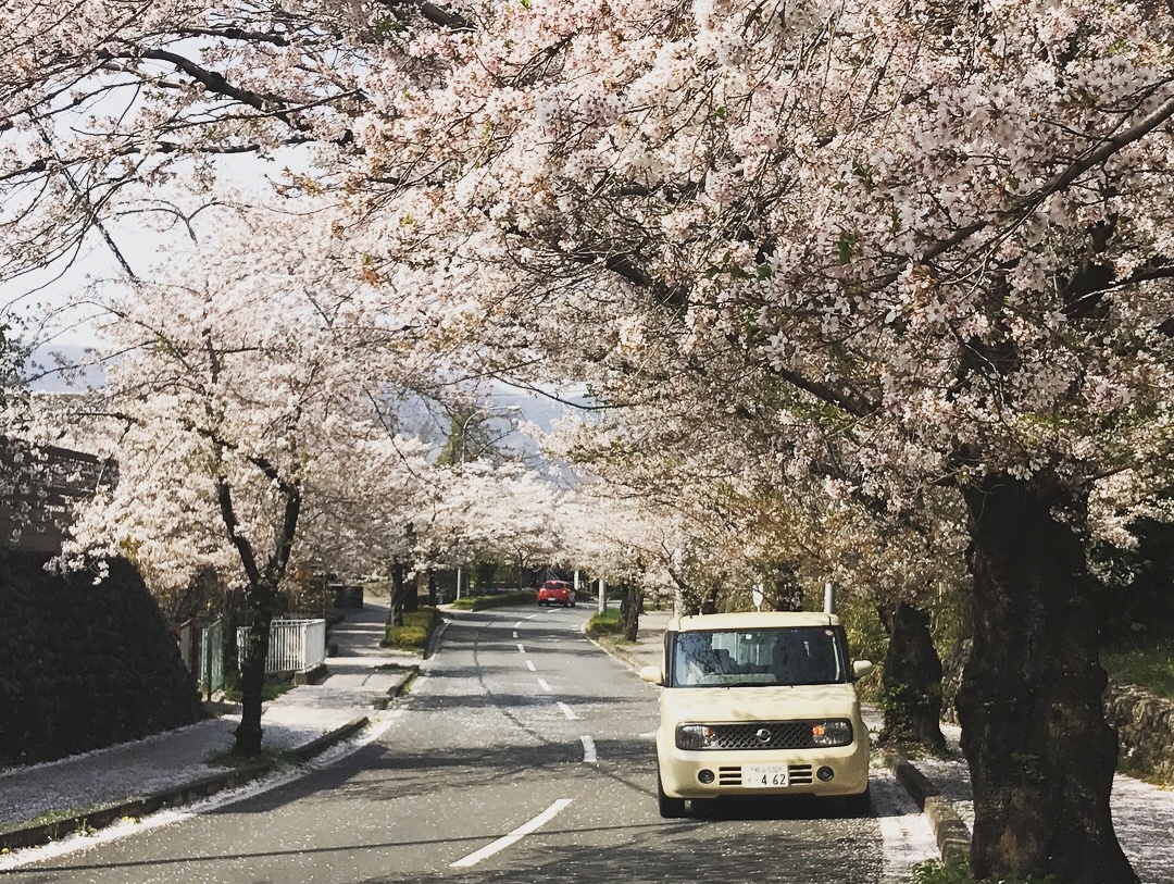 kinh nghiem du lich Nhat Ban anh 4