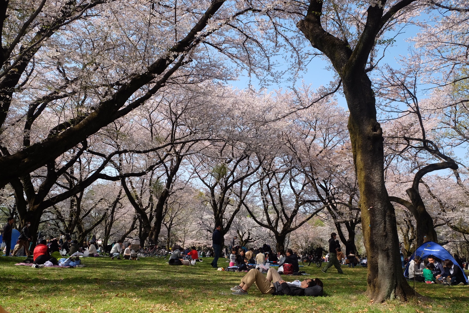 kinh nghiem du lich Nhat Ban anh 6