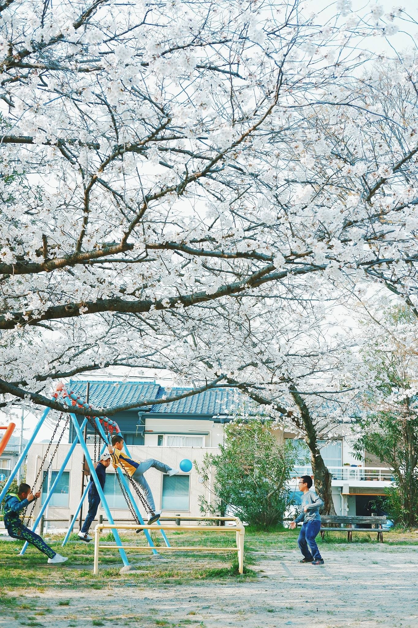 hinh anh doi thuong nuoc Nhat anh 19