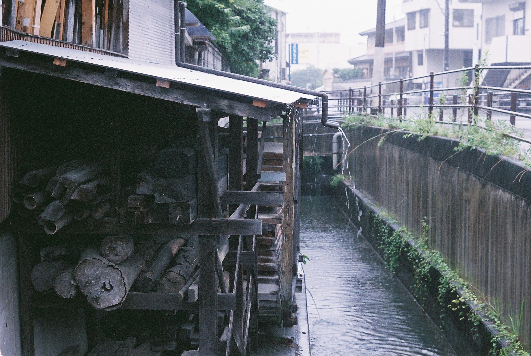 hinh anh doi thuong nuoc Nhat anh 23