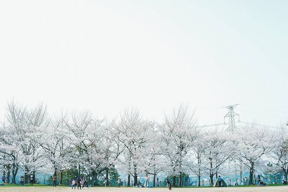 hinh anh doi thuong nuoc Nhat anh 20