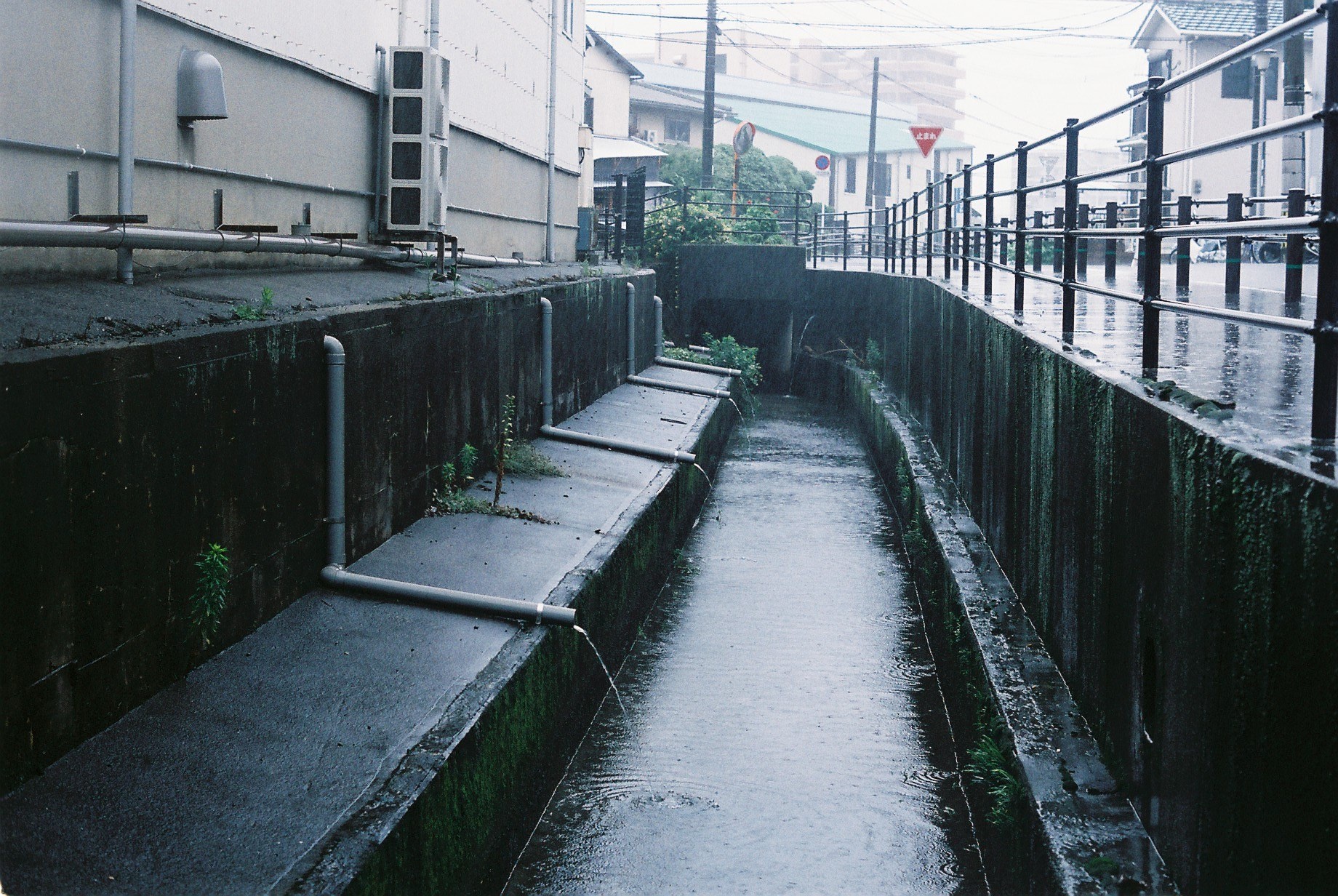 hinh anh doi thuong nuoc Nhat anh 24