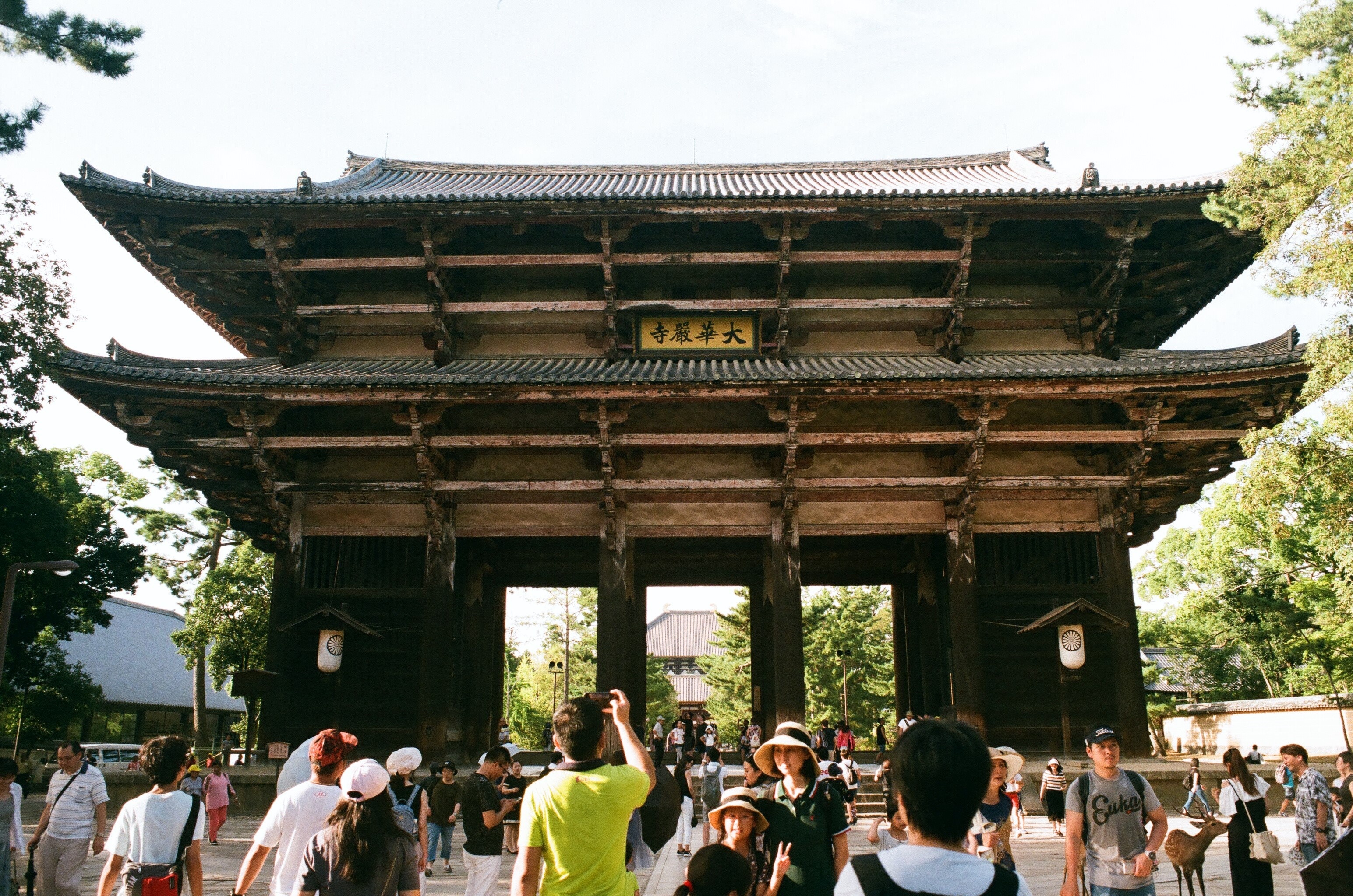 hinh anh doi thuong nuoc Nhat anh 25