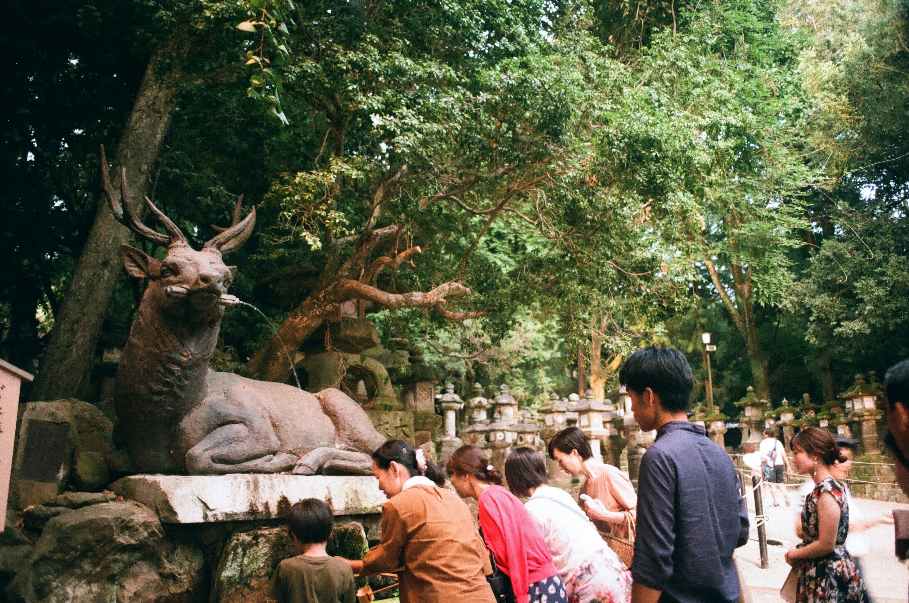 hinh anh doi thuong nuoc Nhat anh 26