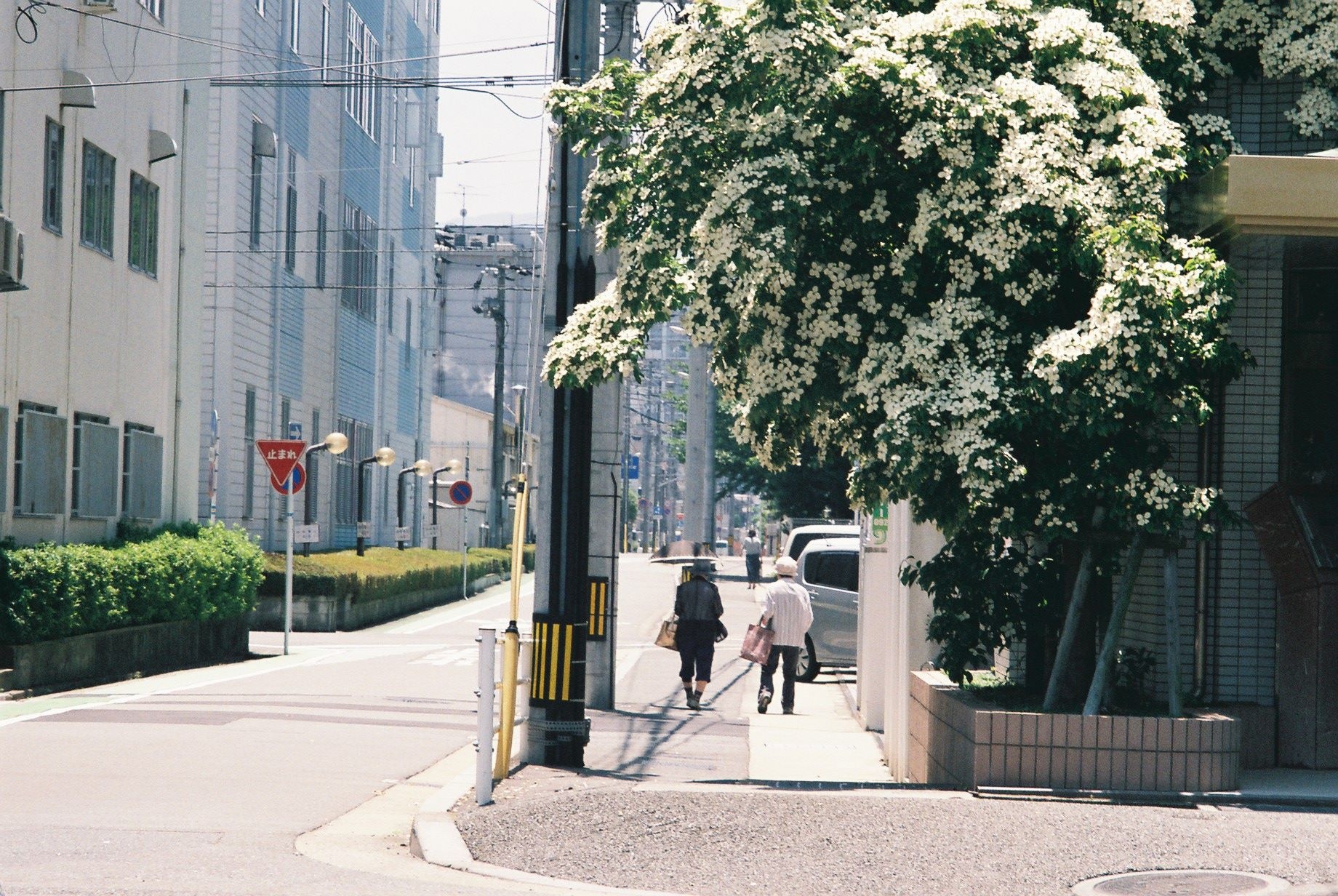 hinh anh doi thuong nuoc Nhat anh 6