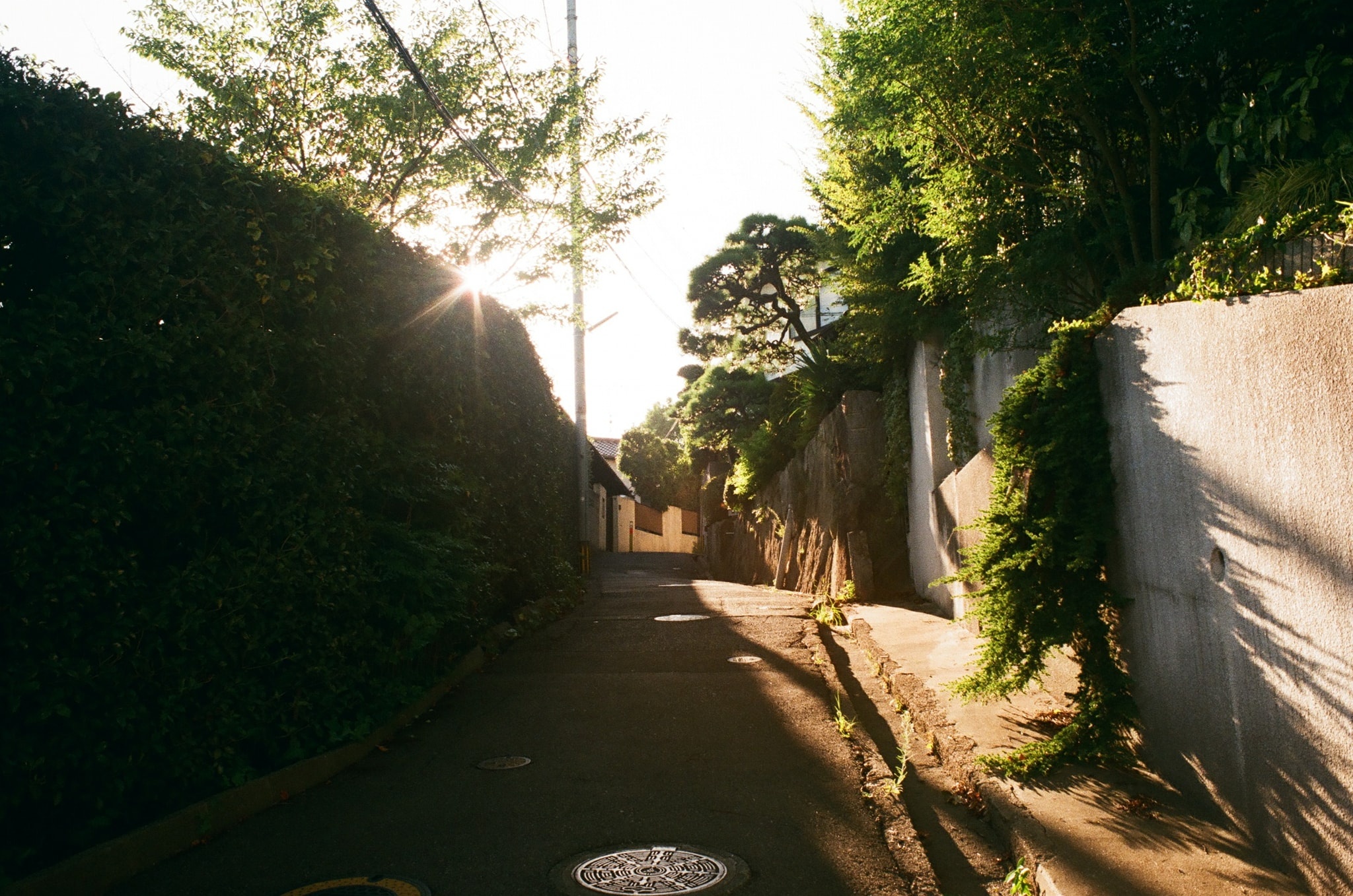 hinh anh doi thuong nuoc Nhat anh 7