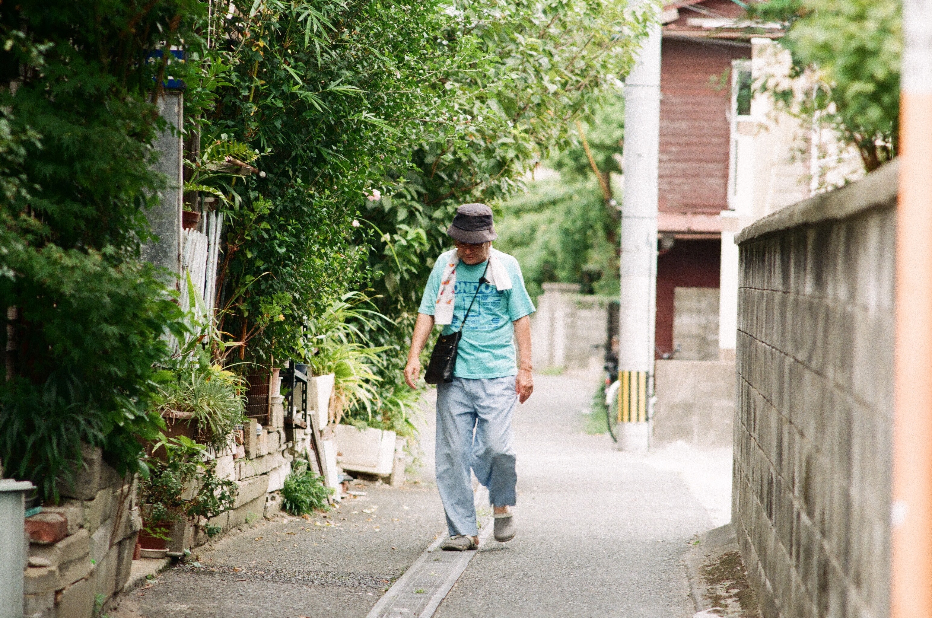hinh anh doi thuong nuoc Nhat anh 8