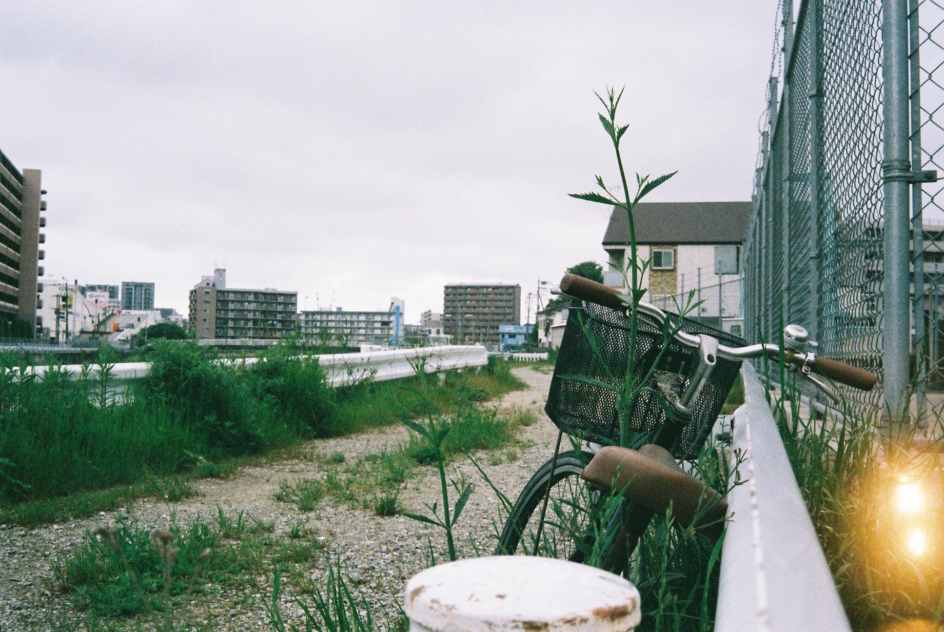 hinh anh doi thuong nuoc Nhat anh 12