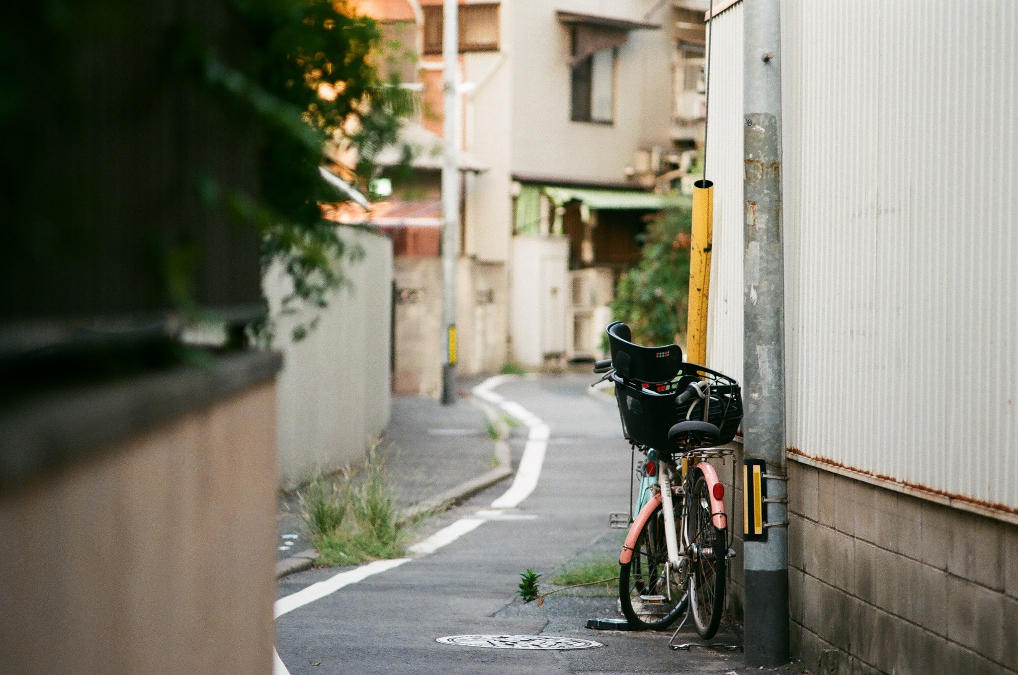 hinh anh doi thuong nuoc Nhat anh 11