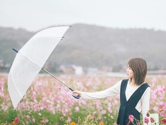 Ngan ngo truoc canh dong cosmos no ruc o Nhat Ban hinh anh