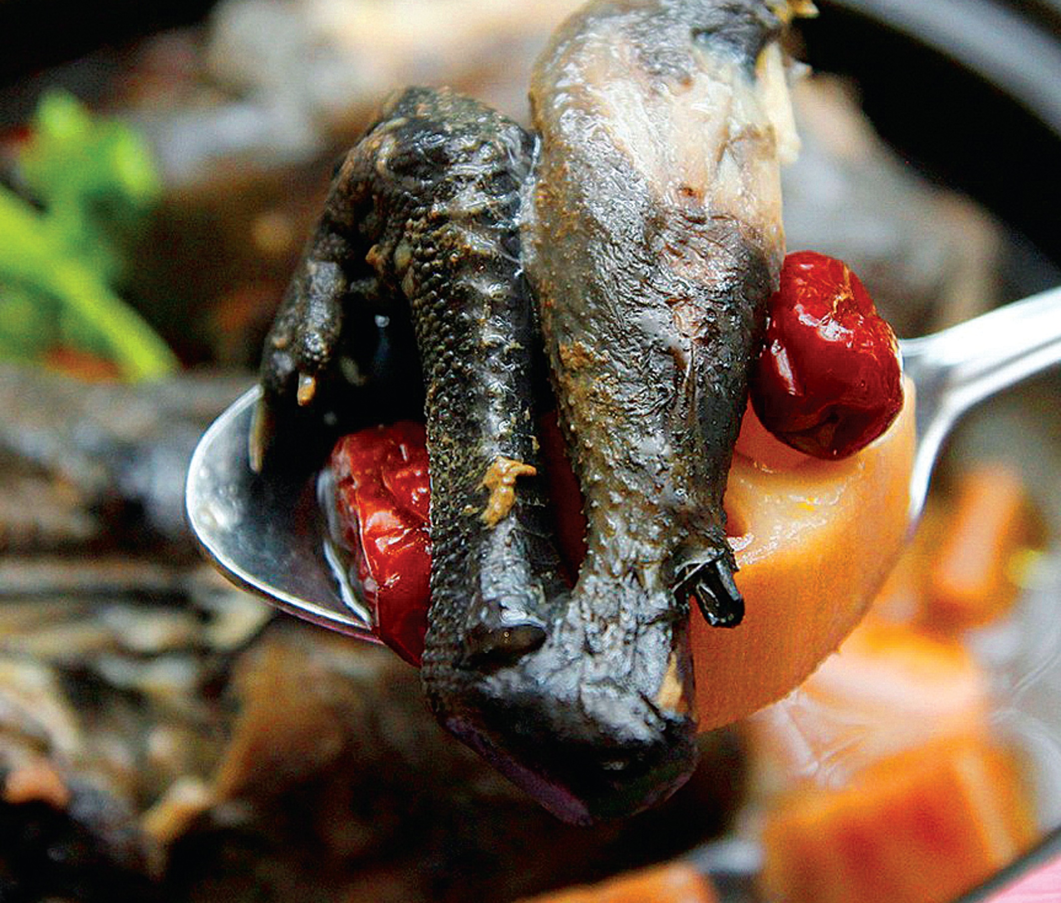 mon ngon Sa Pa anh 6