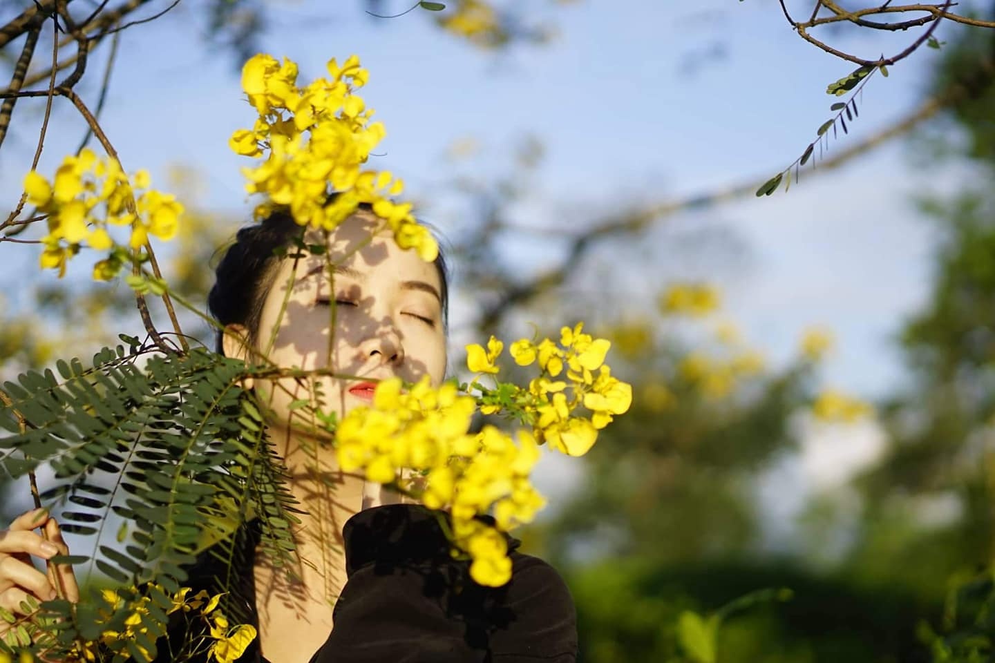 Den Gia Lai ngat ngay truoc rung hoa muong vang ruc hinh anh