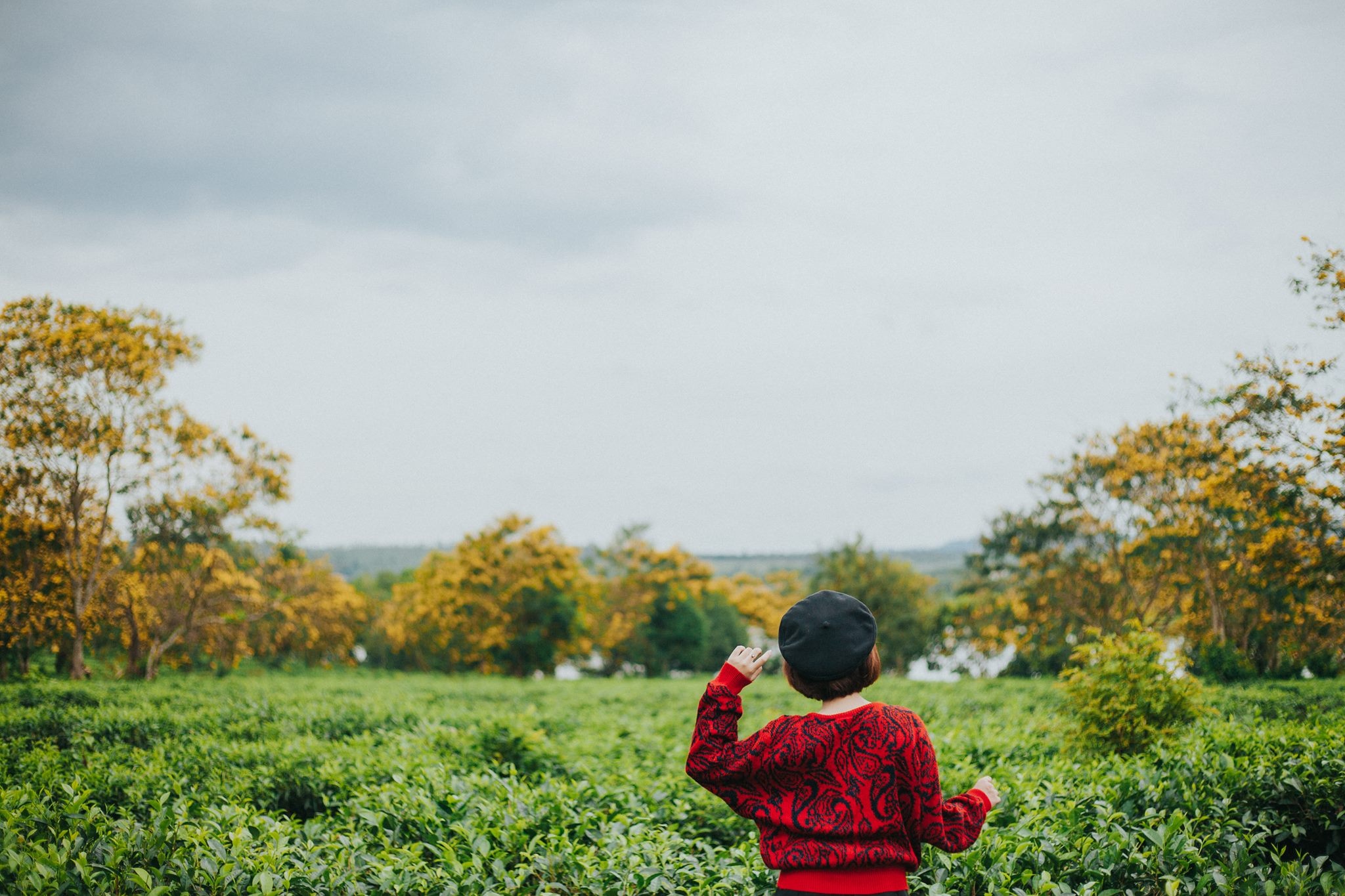 hoa muong Gia Lai anh 1
