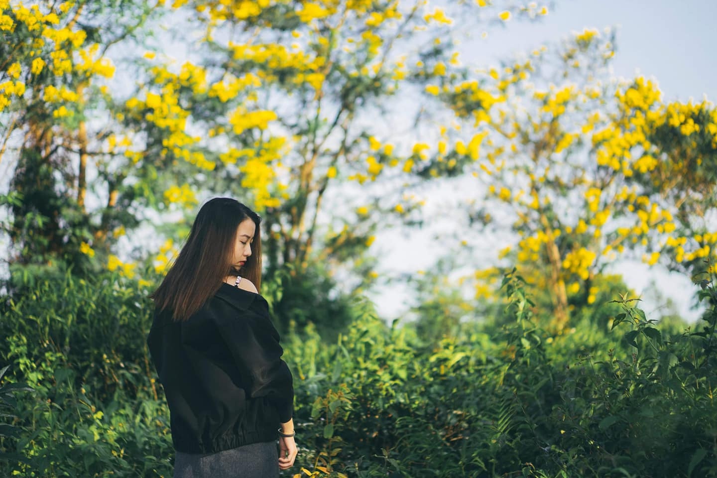 hoa muong Gia Lai anh 3