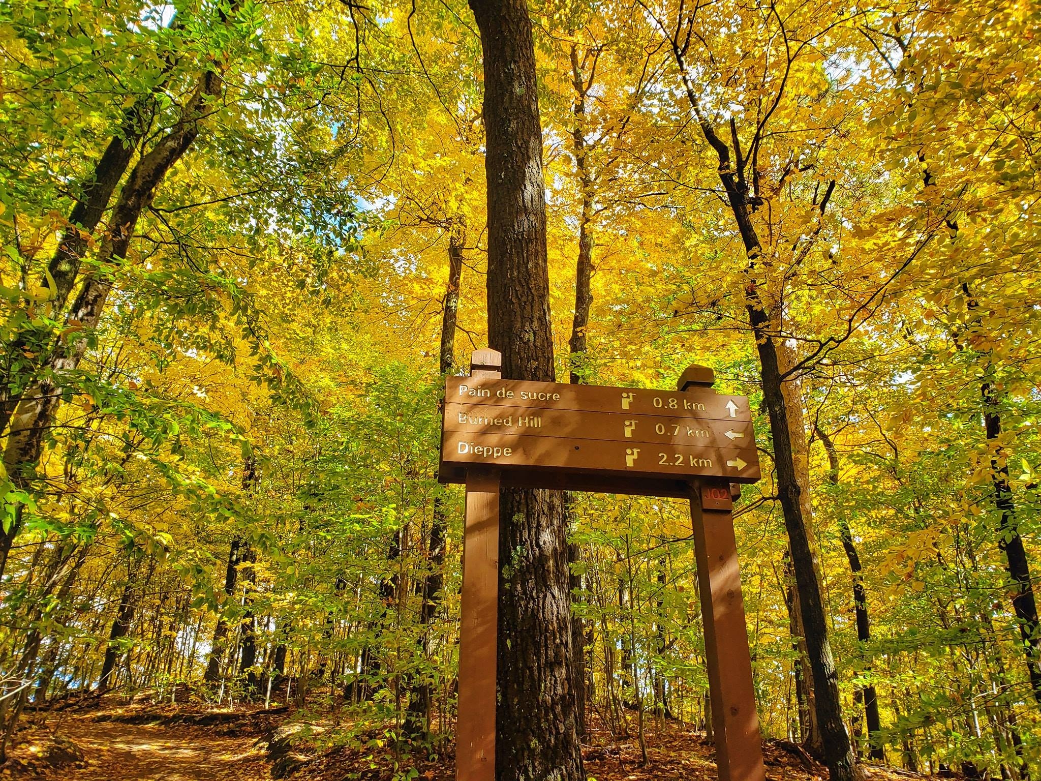 mùa thu Canada ảnh 12 mua thu Canada anh 12