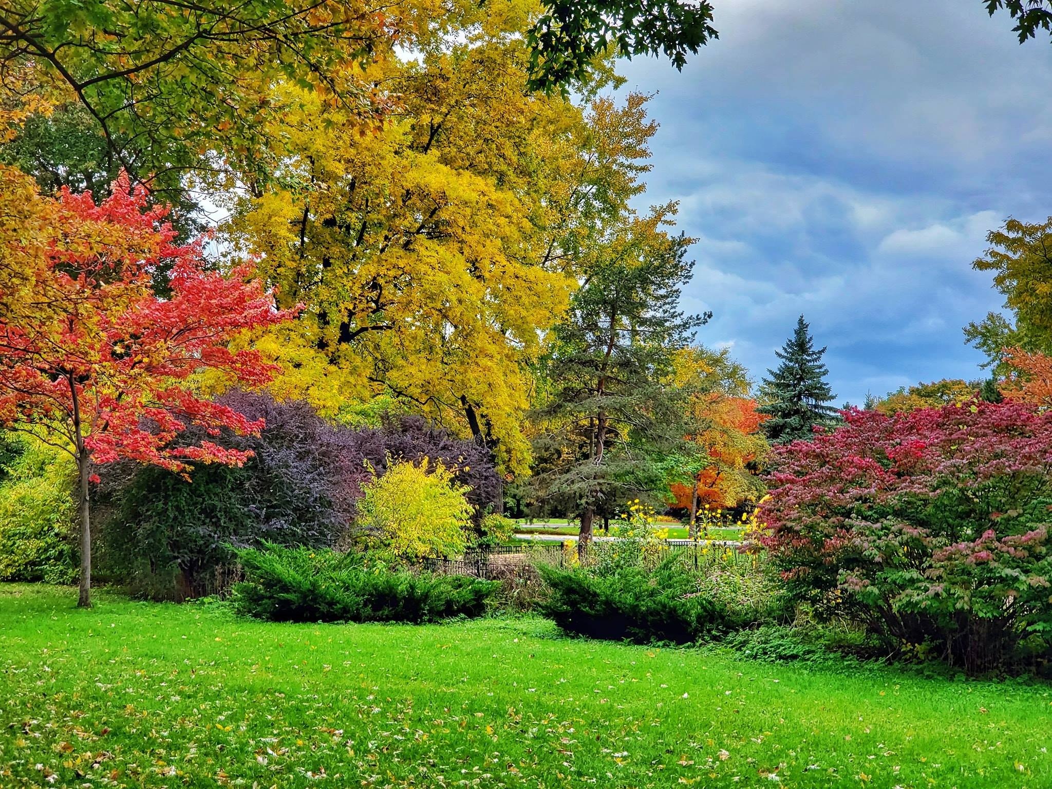 mùa thu Canada ảnh 8 mua thu Canada anh 8