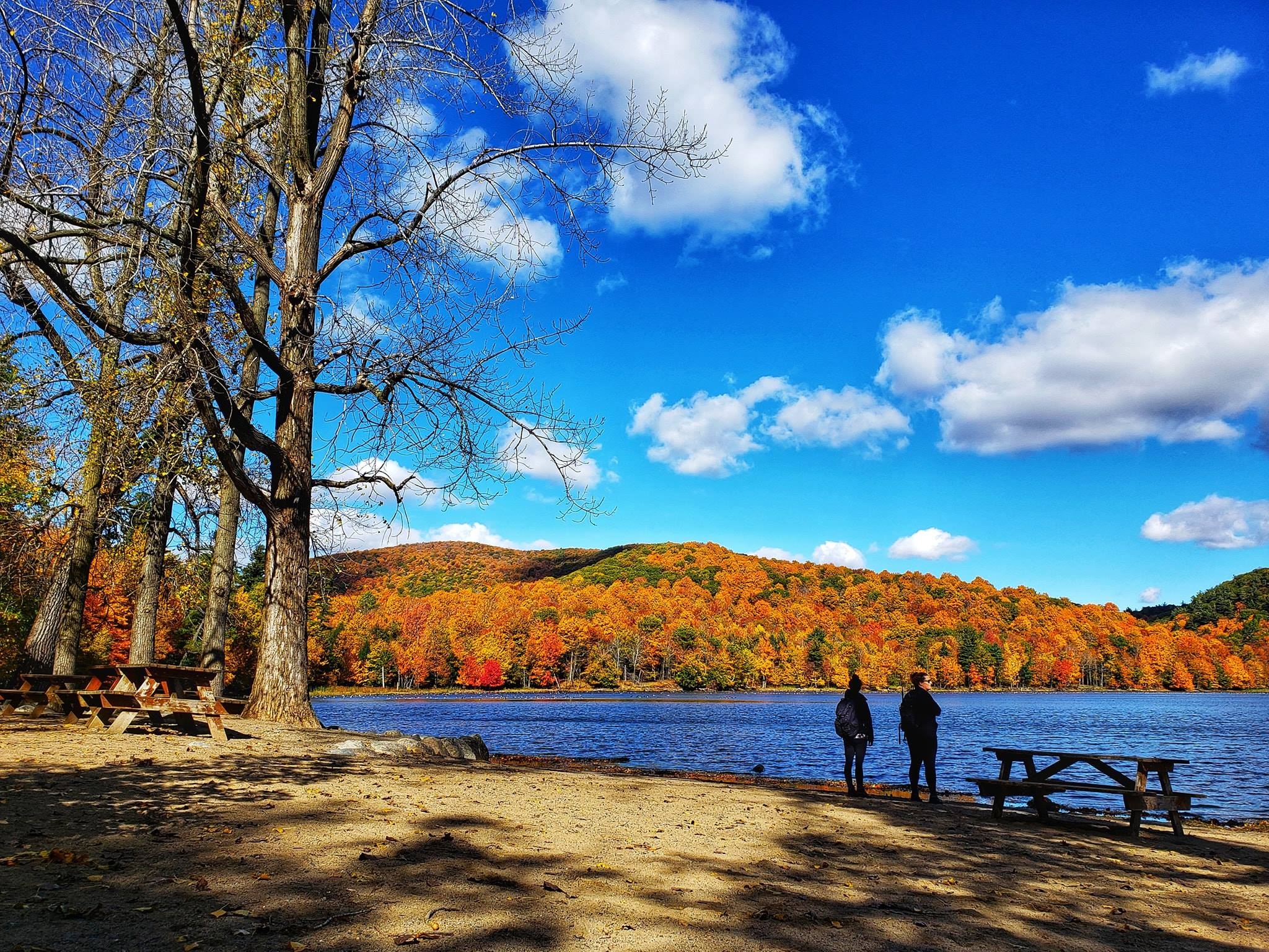 mùa thu Canada ảnh 6 mua thu Canada anh 6