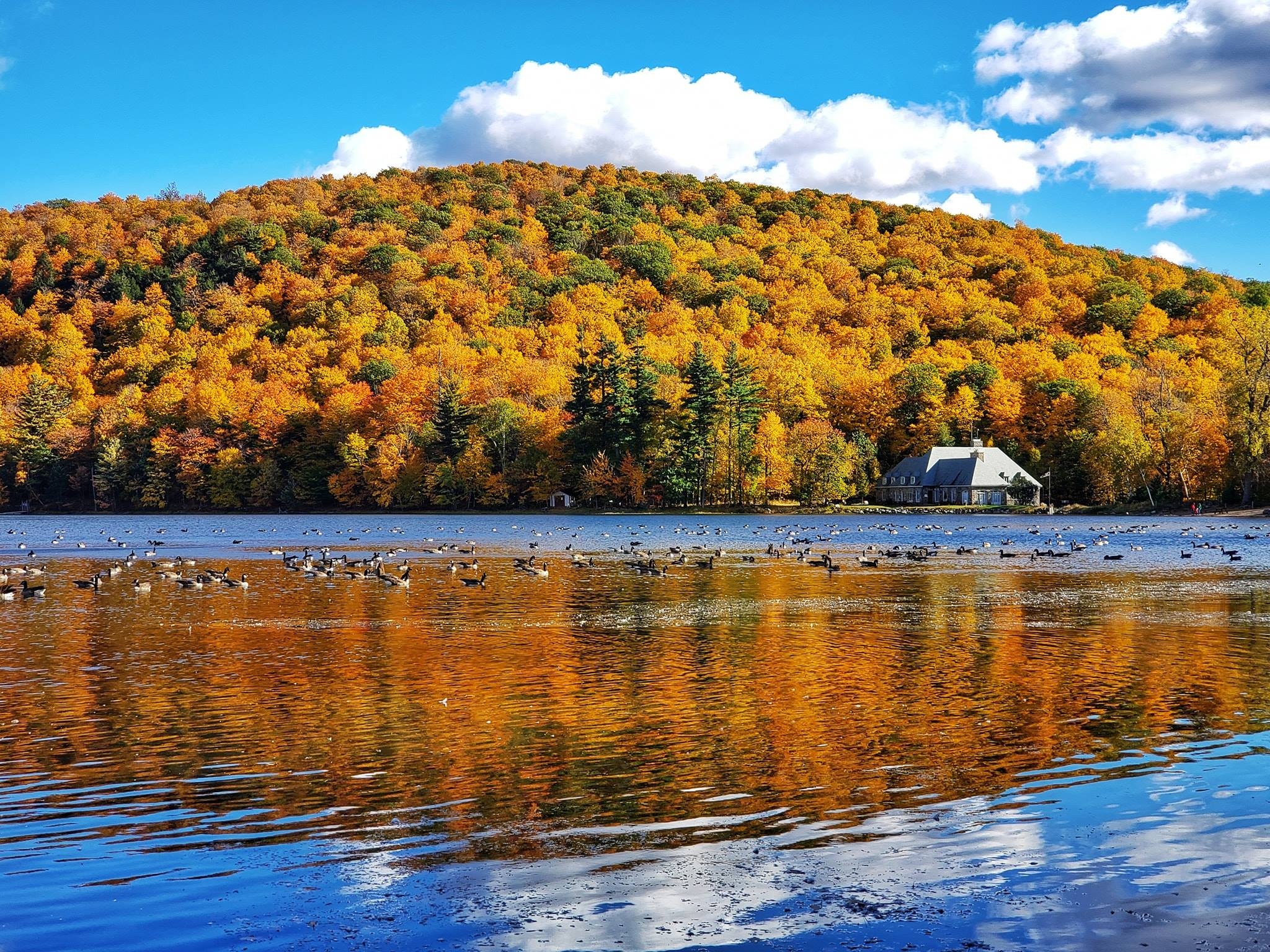 mùa thu Canada ảnh 2 mua thu Canada anh 2