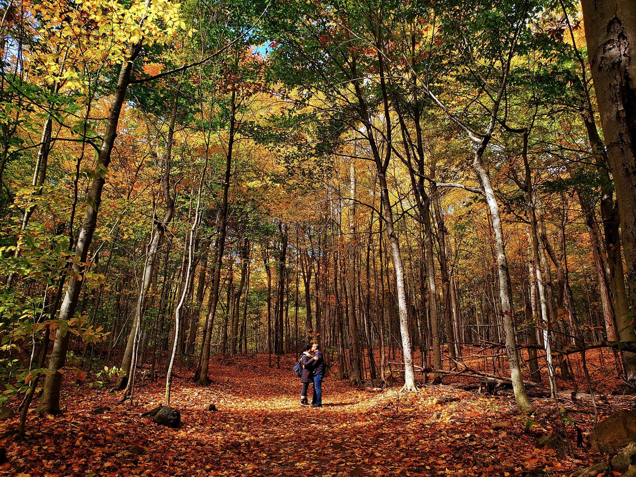 mùa thu Canada ảnh 13 mua thu Canada anh 13