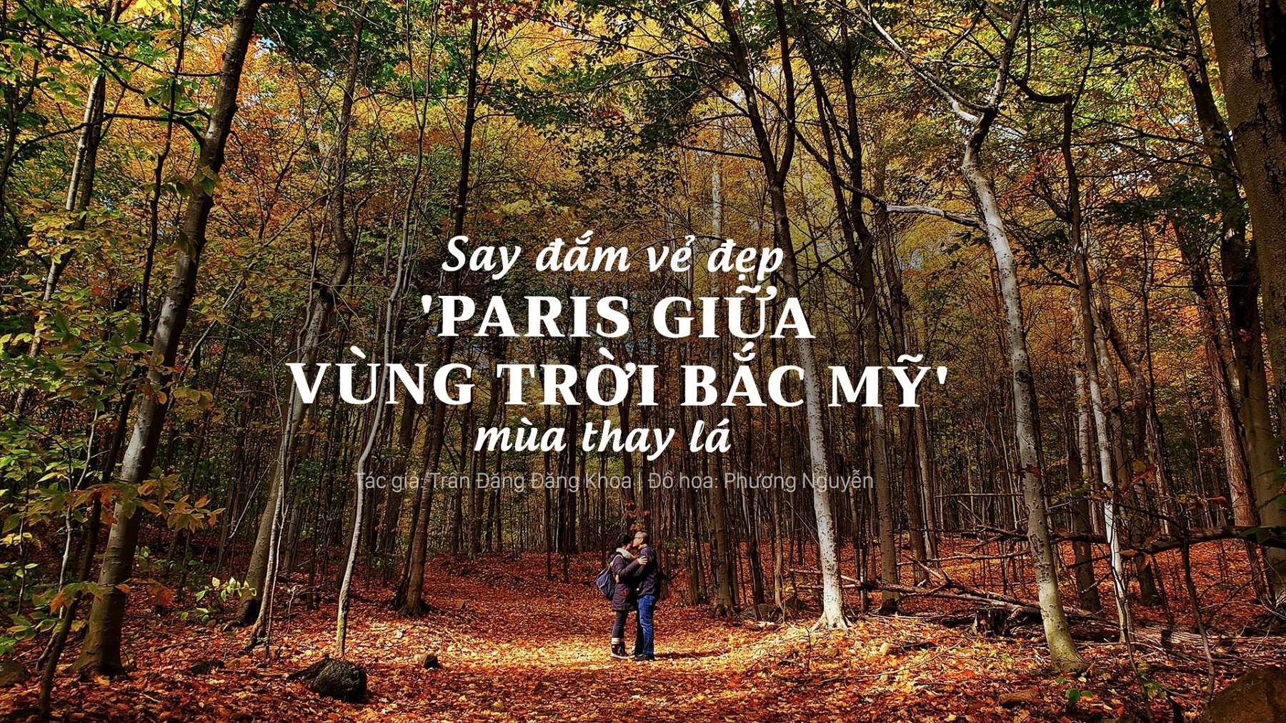 mùa thu Canada ảnh 1 mua thu Canada anh 1