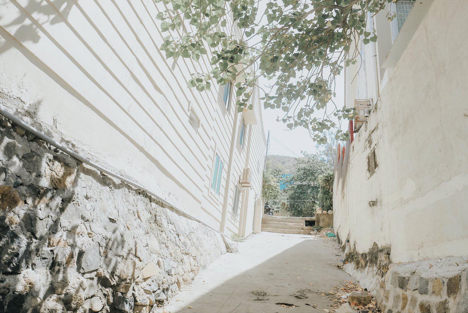 du lich Vung Tau anh 5