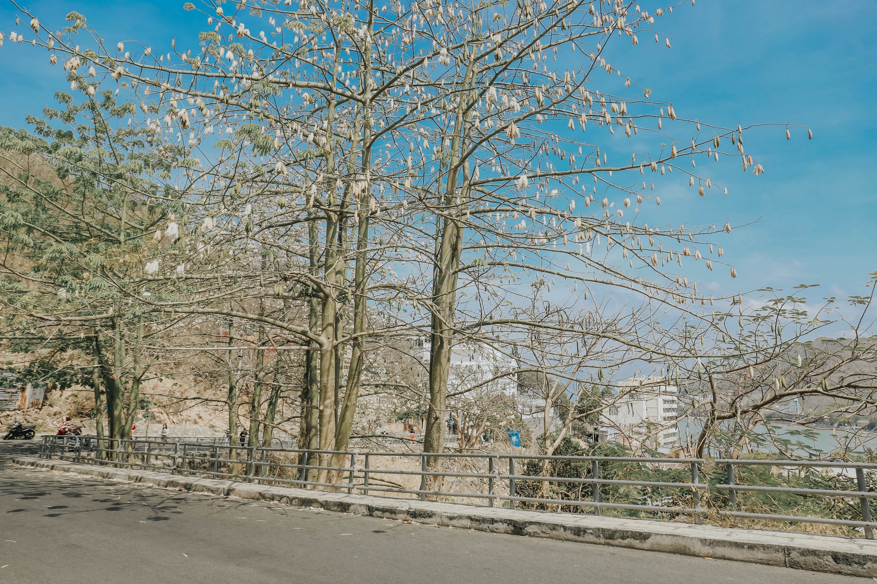 du lich Vung Tau anh 6