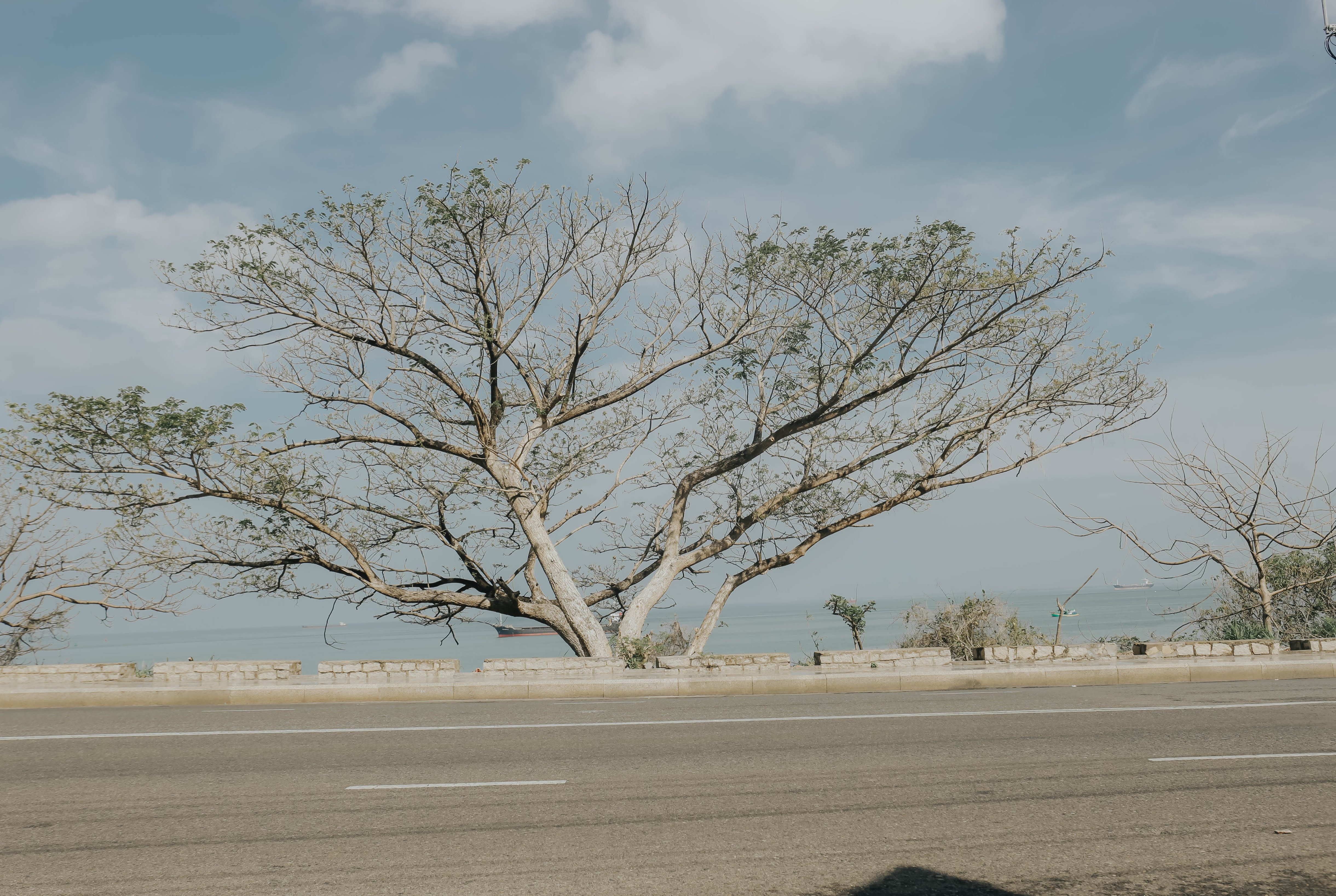 du lich Vung Tau anh 8