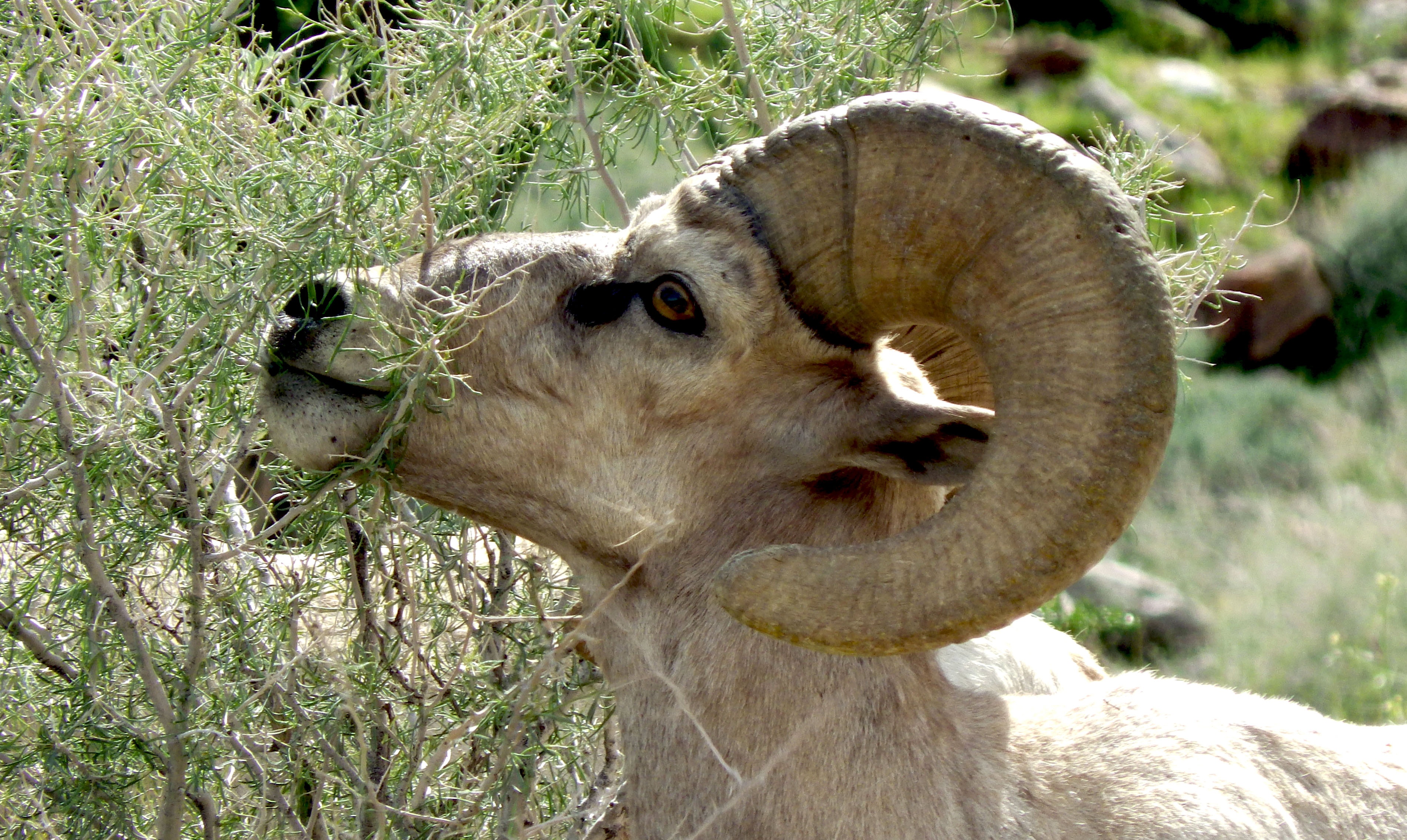 thuc pham kinh di anh 6