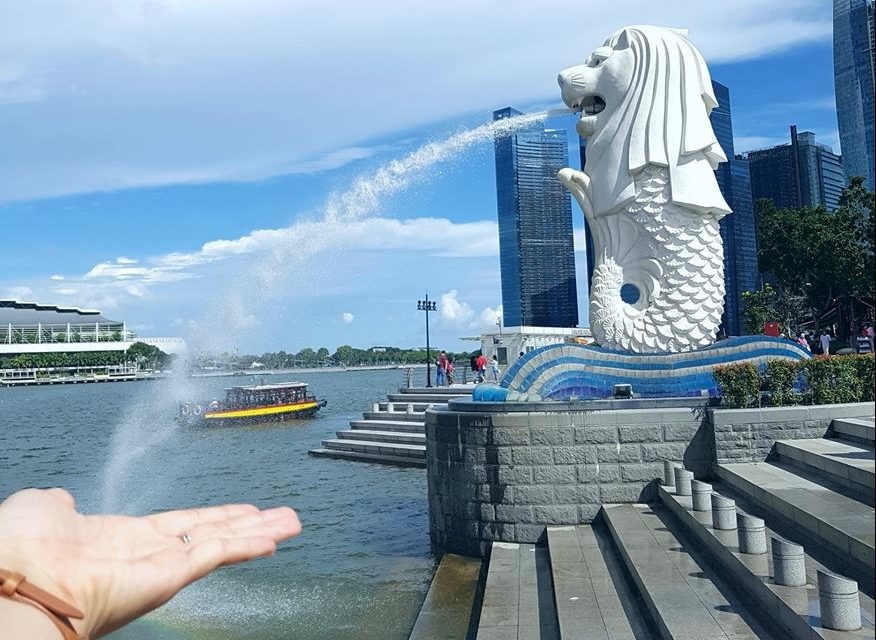 Kinh phi 10 trieu dong nen di Singapore hay Hong Kong? hinh anh