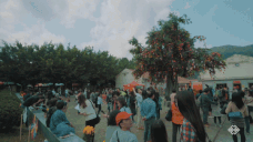 Tuc nem cam cau may len cay uoc nguyen o Hong Kong hinh anh