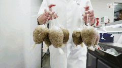 Haggis - mon doi Scotland chua noi tang cuu duoc lam nhu nao? hinh anh