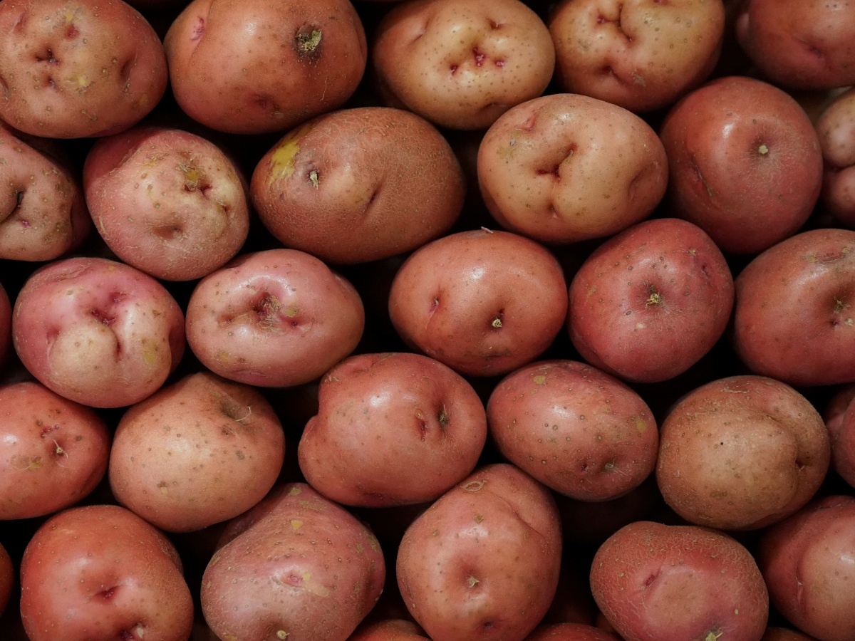 thuc pham het han van dung duoc anh 6