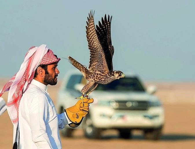 Mua chim ung, lac da tai khu cho co nien dai hon 100 nam o Qatar hinh anh