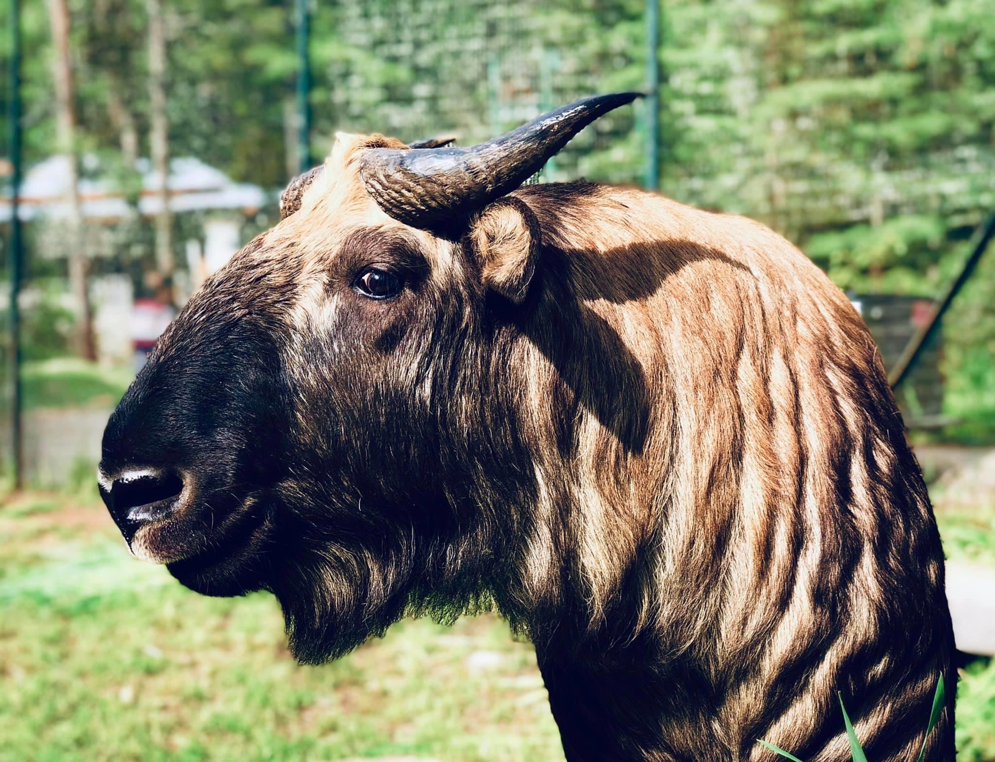 dat nuoc hanh phuc nhat the gioi anh 9