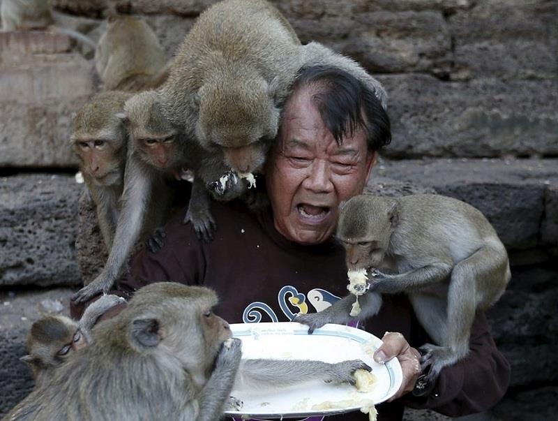 Lanh dia khi xam chiem, ngang nhien du bam trom do cua du khach hinh anh