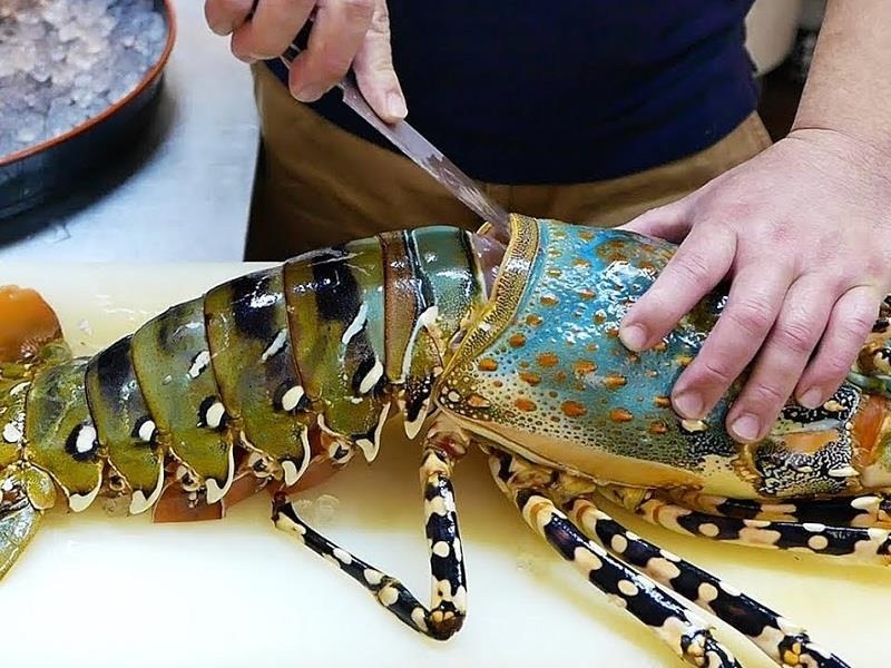 Sashimi tom hum khong lo gia 600 USD o Nhat duoc lam nhu the nao? hinh anh