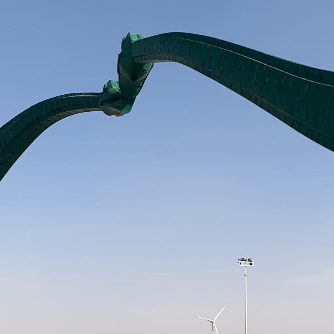 tuong khung long hon nhau o Trung Quoc anh 5