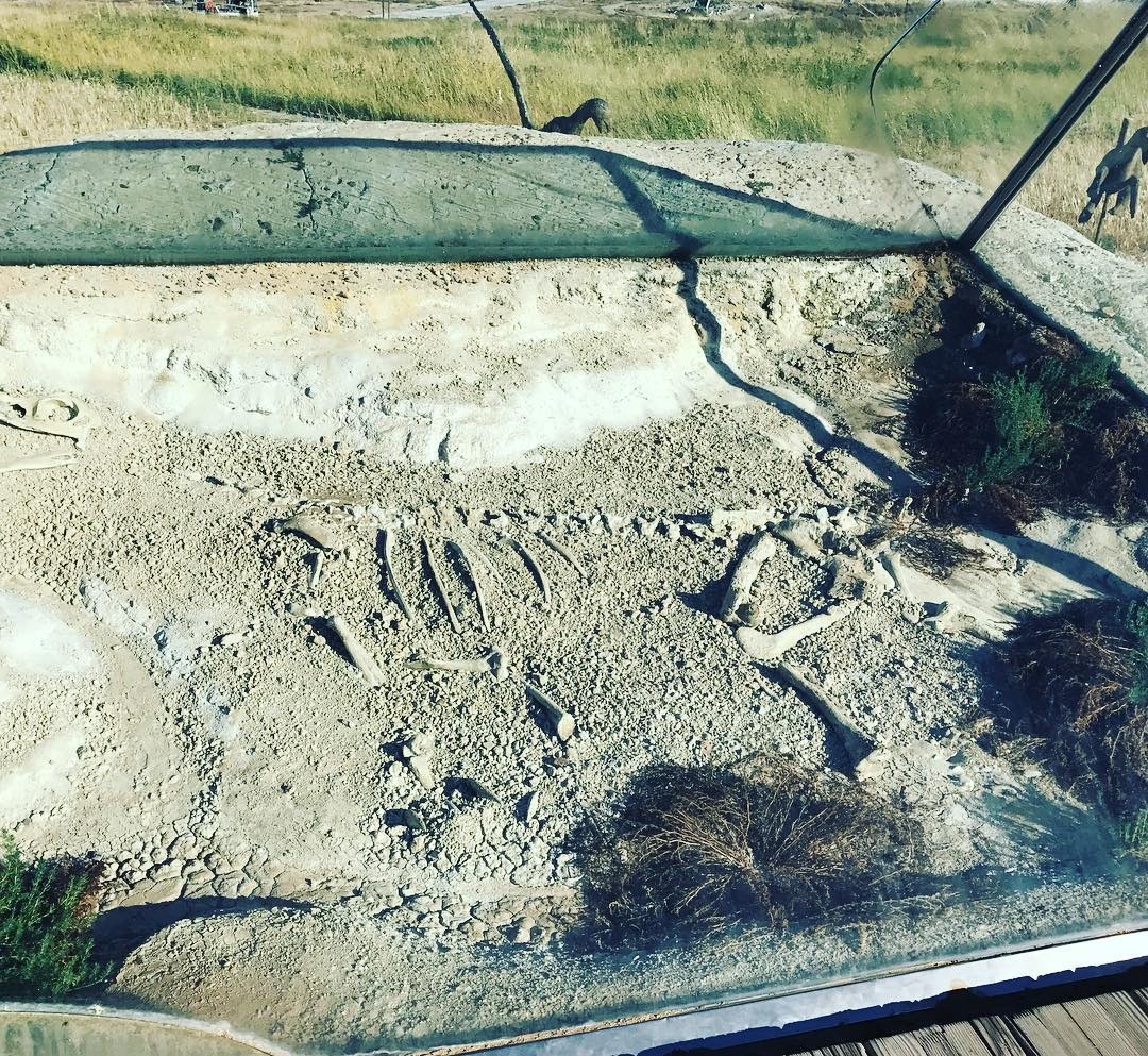 tuong khung long hon nhau o Trung Quoc anh 18