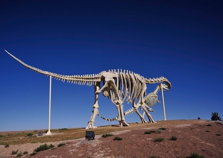 tuong khung long hon nhau o Trung Quoc anh 19