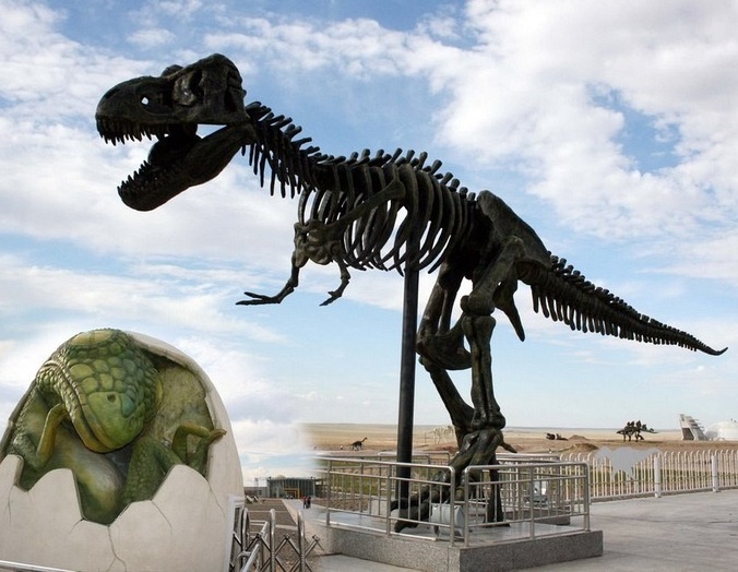 tuong khung long hon nhau o Trung Quoc anh 20