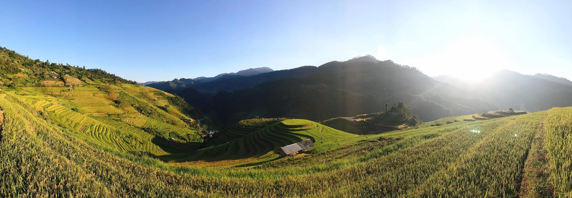 mua lua chin Mu Cang Chai anh 16