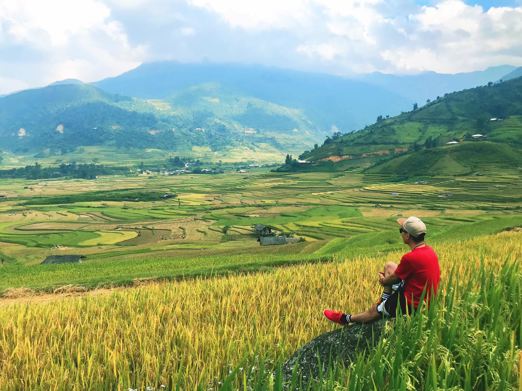 mua lua chin Mu Cang Chai anh 42