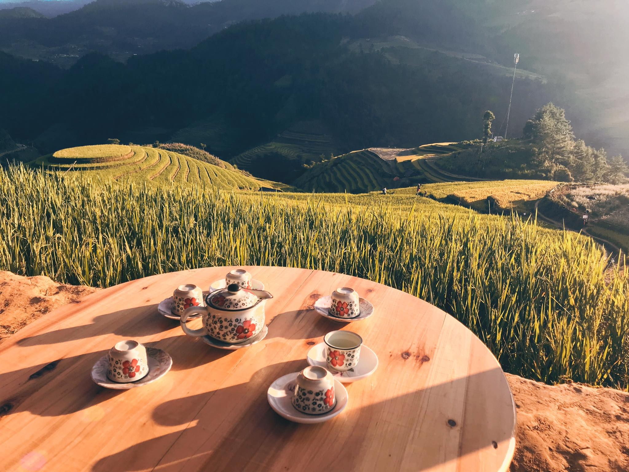 mua lua chin Mu Cang Chai anh 43