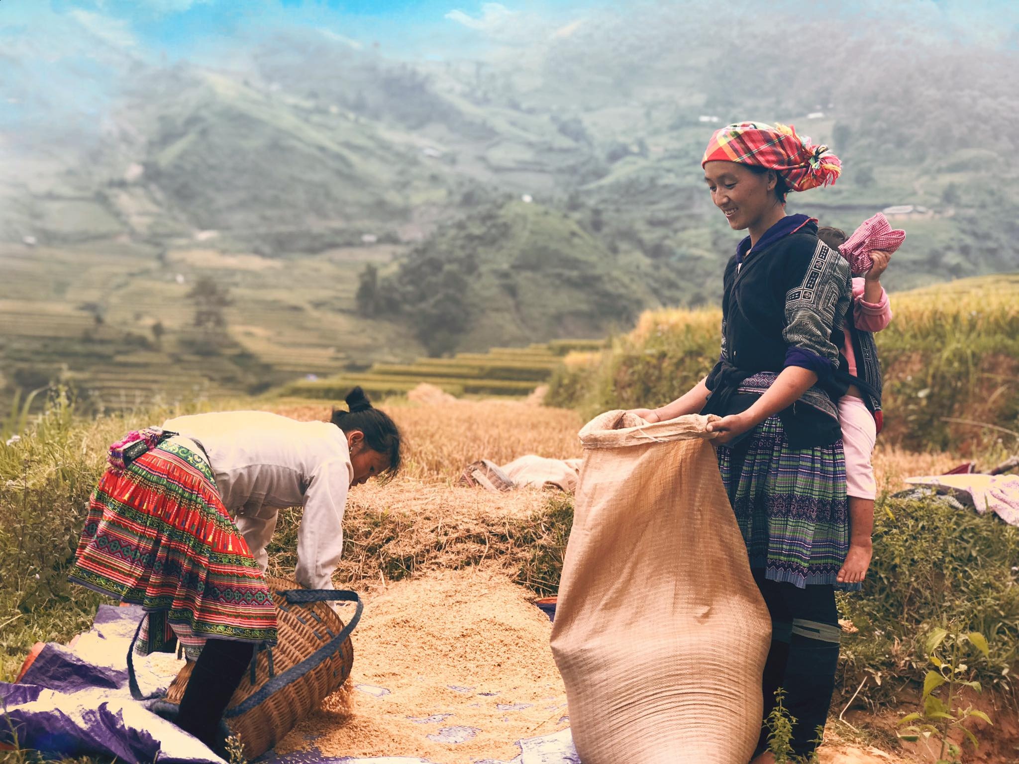 mua lua chin Mu Cang Chai anh 32