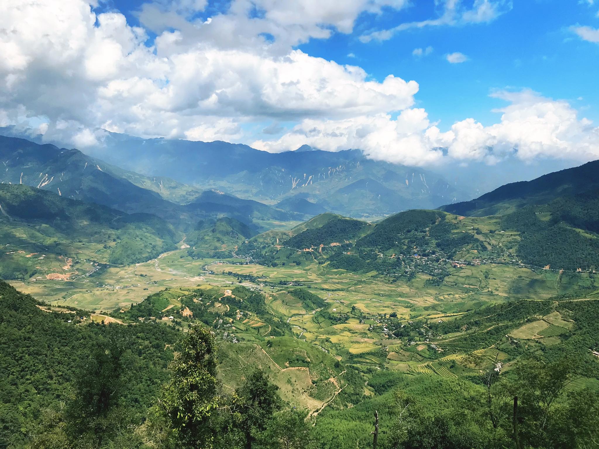 mua lua chin Mu Cang Chai anh 6