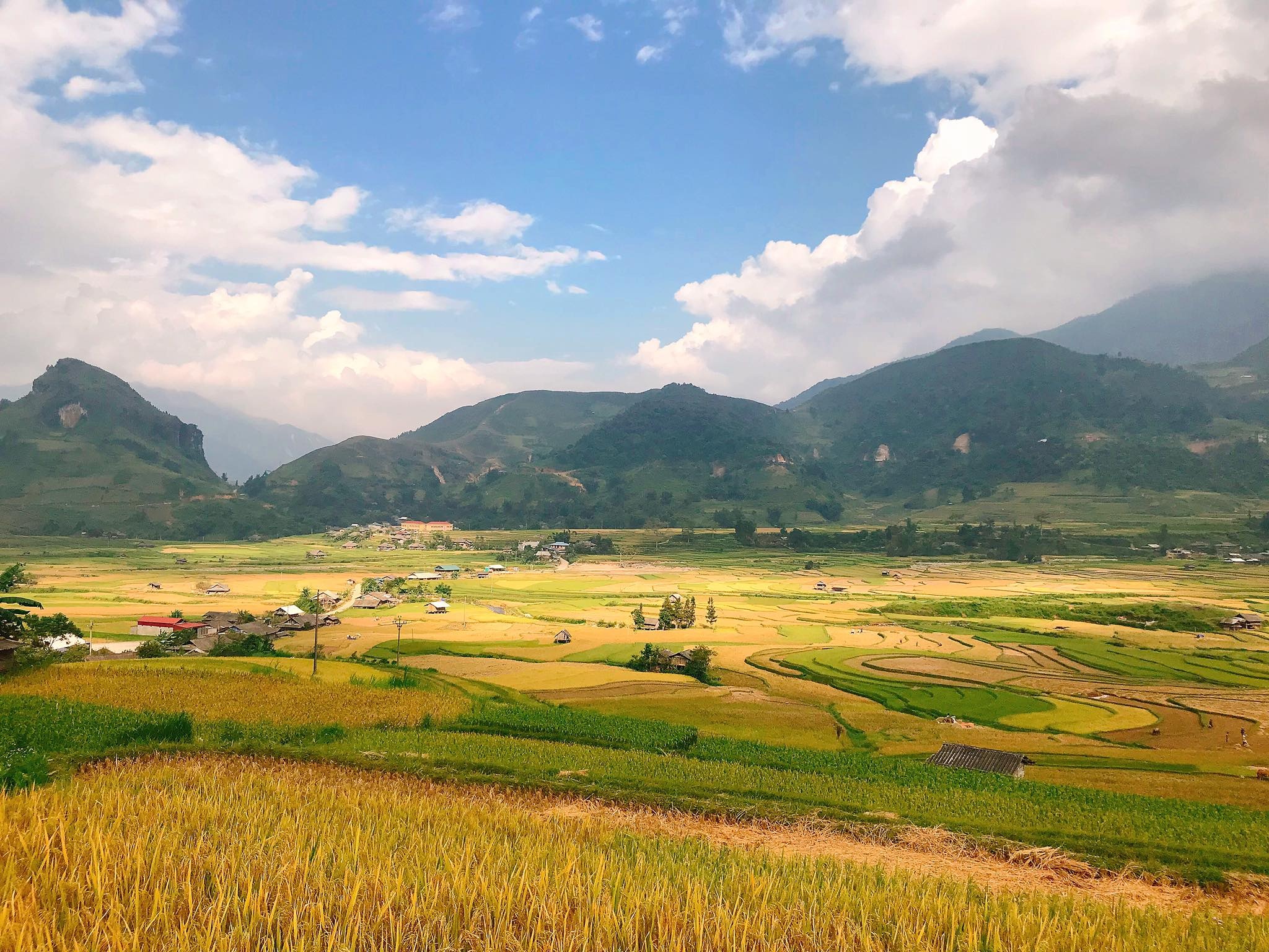 mua lua chin Mu Cang Chai anh 18