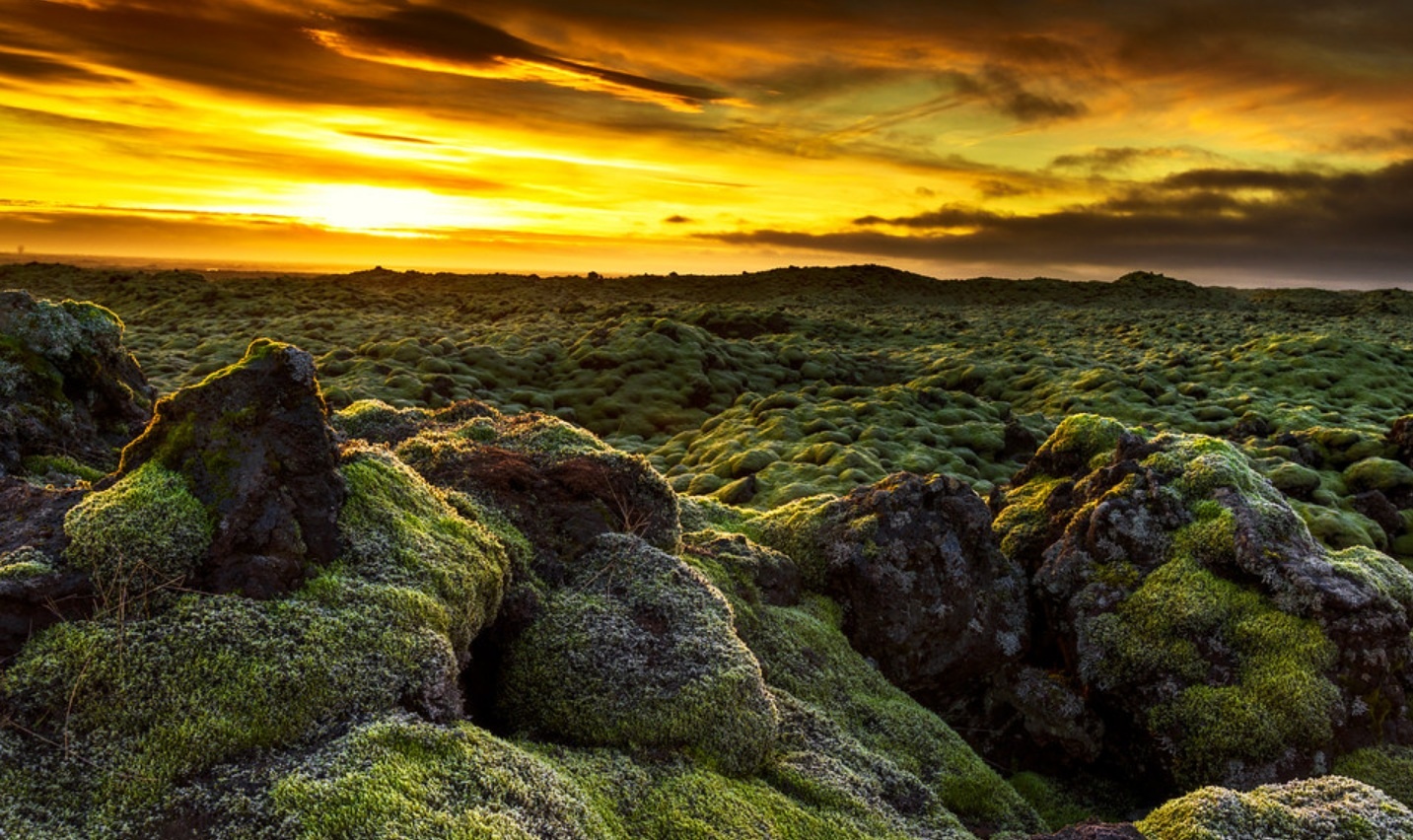 canh dong dung nham reu Eldhraun anh 2